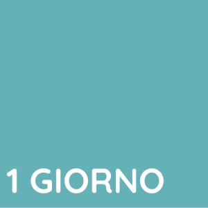 PASS 1 GIORNO