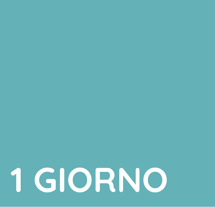 PASS 1 GIORNO
